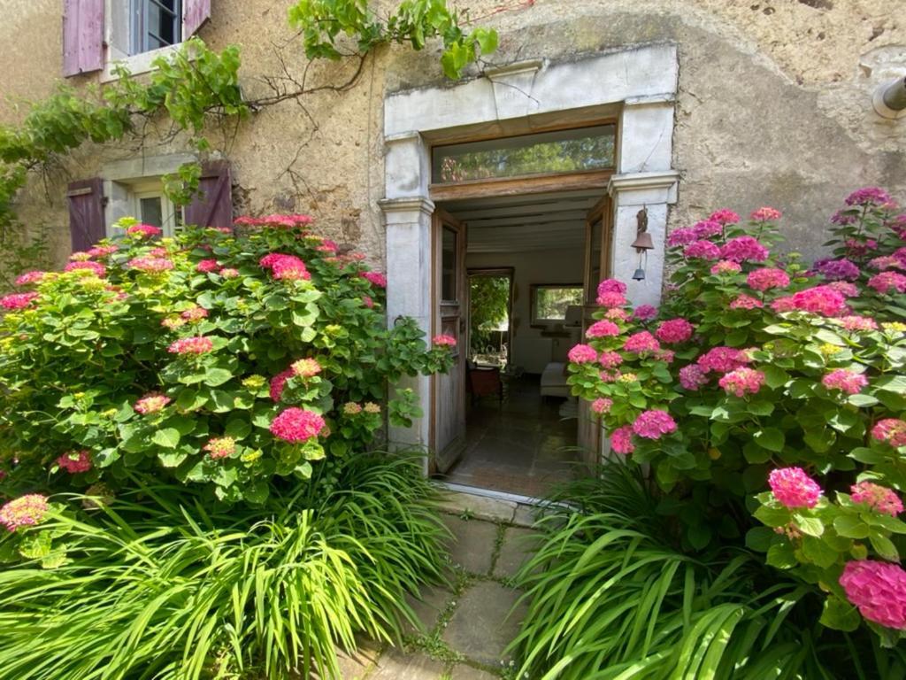 Maison D'Hotes-Maison Castaings Lucq-de-Bearn Ngoại thất bức ảnh